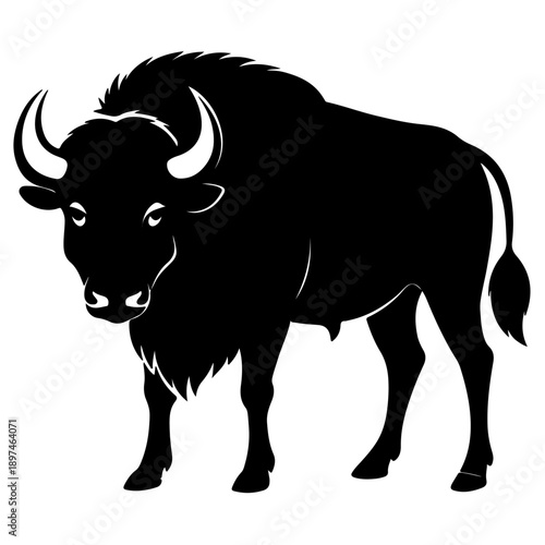 Bison buffalo vector silhouette