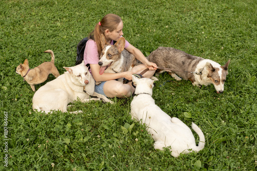 Wallpaper Mural Professional dog walker young woman with pack of dogs is sitting on green grass and enjoying walk with animals. training and upbringing and care of pets. dogs from the shelter. Torontodigital.ca