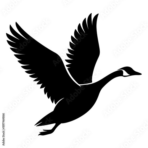 Black flying loon  silhouette vector