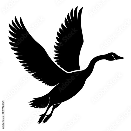 Black flying loon  silhouette vector