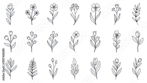 Hand-drawn botanical elements: wildflowers, leaves, and floral sprigs, sketched in a minimalist style.