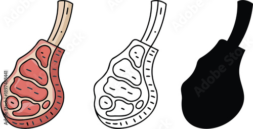 Raw meat silhouette & Outline and illustration set isolated on transparent background