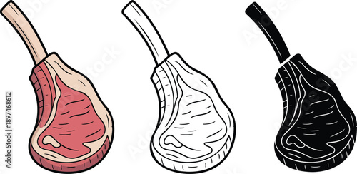 Raw meat silhouette & Outline and illustration set isolated on transparent background