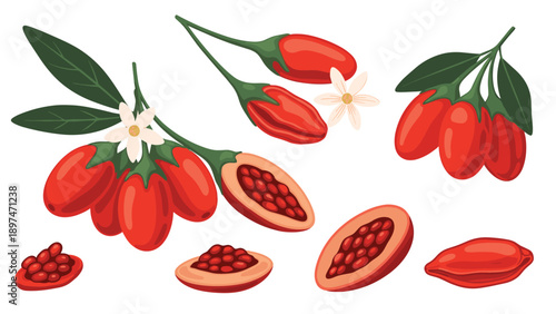 Varied collection of red goji berries featuring fruit clusters, sliced halves with seeds, and individual berries for botanical study.