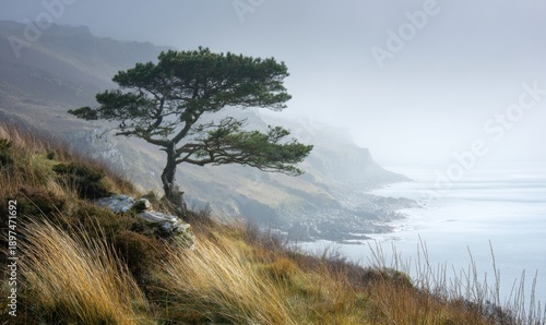 A tree is growing on a hillside near the ocean
