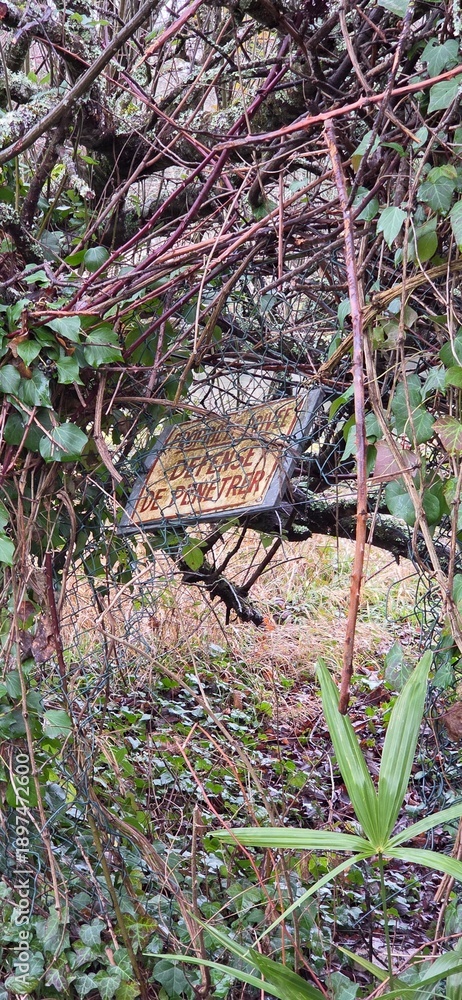 Obraz premium A warning sign nearly erased by ivy and branches. The electric fence blends into the greenery, as if nature itself guards the space. A poetic tension between danger and wilderness