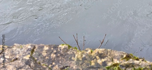 Schilderij op canvas From moss-covered rock, the gaze falls onto moving water