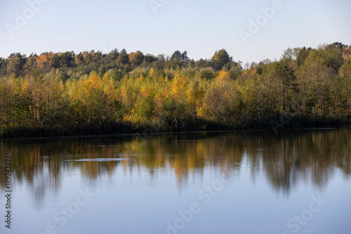 autumn river in sunny weather at sunset, beautiful trees on the riverbank before the fall of leaves, evening time before sunset