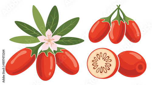Group of red goji berries with green leaves and a pink blossom shown whole and in a detailed cross section on white.