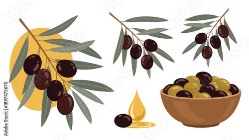Detailed illustration of black olives on branches, a bowl of mixed olives, and a single drop of golden olive oil.
