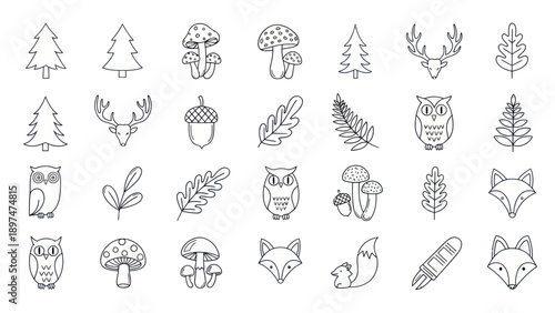 Forest Icons Set: Hand-drawn Trees, Animals, Mushrooms, Acorns, Leaves