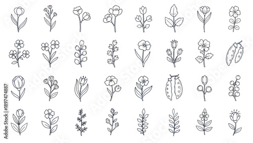 Hand Drawn Botanical Elements: Delicate Flowers, Leaves, and Ladybug Sketch Collection