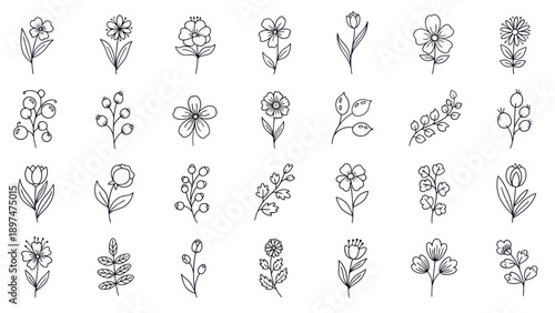 Hand Drawn Floral Icons Set: Delicate Botanical Line Art for Design