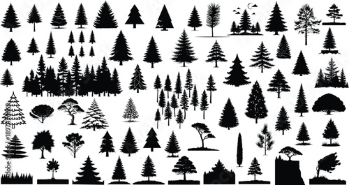 Silhouetted evergreen trees against a bright white background