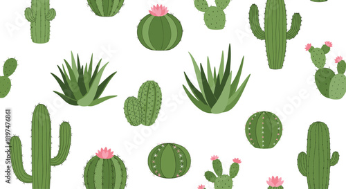 Seamless vector pattern with a variety of beautifully illustrated green cacti and succulent plants in a simple, flat cartoon style on a white background.