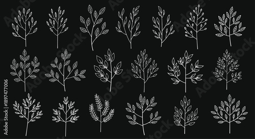 Collection of eighteen white chalk-style tree branches with leaves on a black chalkboard background, representing various simple and elegant botanical designs.