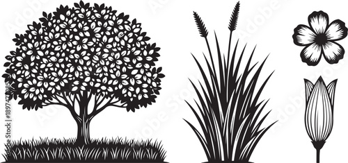 Black silhouette of tree grass flower and bud on white background Keywords: tree, grass, flower