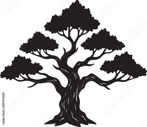 Detailed Gnarled Ancient Oak Tree Silhouettes with Sprawling Twisted Branches