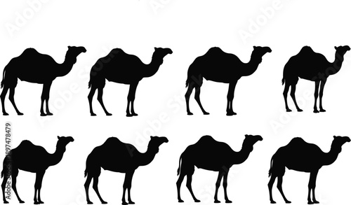 Eight black camel silhouettes standing in two rows on white background desert animals wildlife icons