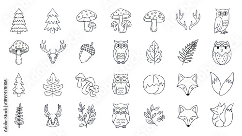 Cute Forest Animals & Nature Elements - Hand Drawn Line Art Icons