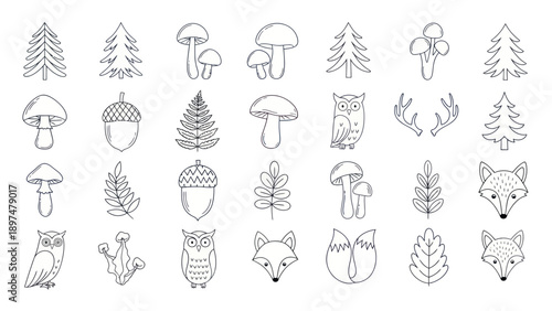 Cute Forest Animals and Nature Elements Hand Drawn Doodle Collection