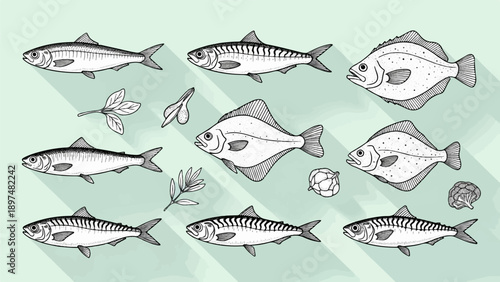 Various hand-drawn fish species and botanical elements on pastel background