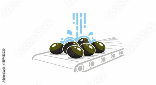 Olives being washed on a conveyor belt with water splashing
