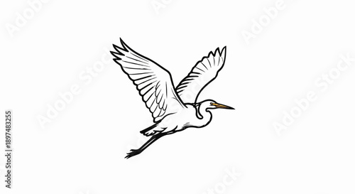A white heron with outstretched wings soars through the sky, depicted in a line art style with textured brushstrokes