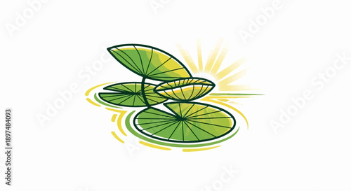 A stylized drawing of lily pads on water with a sunburst in the background