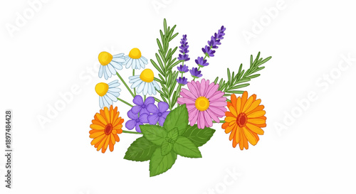 A vibrant, hand-drawn bouquet of medicinal herbs and flowers