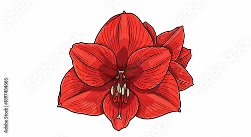 A vibrant red, five-petaled flower with delicate lines and visible stamens