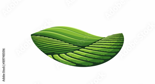 Lush green terraced fields curve over rolling hills, creating a visually pleasing agricultural landscape