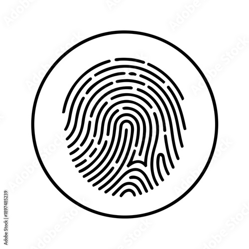 Secure fingerprint biometric identification icon vector. digital security access control personal data privacy recognition system graphic element.