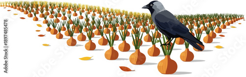 A bird stands in a field of onions with fallen leaves scattered around