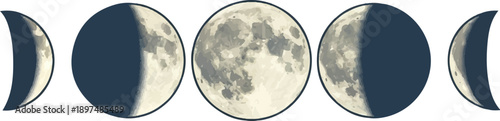A sequence of moon phases, from crescent to full and back, illustrated in a stylized manner