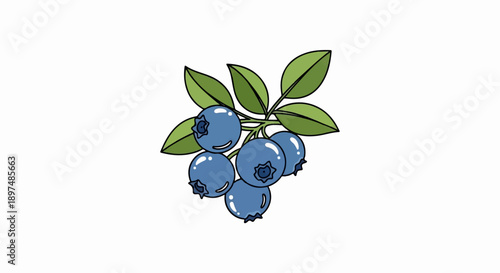 A cluster of plump blue berries adorned with vibrant green leaves hangs from thin branches