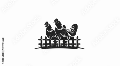 Two black chickens stand behind a black picket fence on a white background
