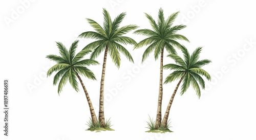 Four watercolor palm trees with green fronds and brown trunks stand on a white background