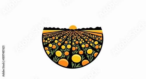Stylized sunset over an orange grove, with rows of fruit receding into distance