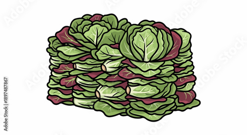 Pile of fresh leafy vegetables, green and purple
