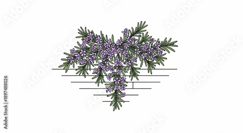 Hand-drawn rosemary plant with delicate purple flowers and green needle-like leaves cascading over a simple brick pattern