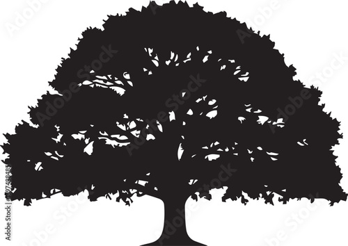 Large mature deciduous tree with dense spreading foliage shape vector silhouette