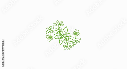 Delicate green vine with small flowers and leaves, on white