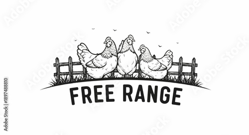 Three hens stand behind a fence on a grassy hill under a few birds in the sky