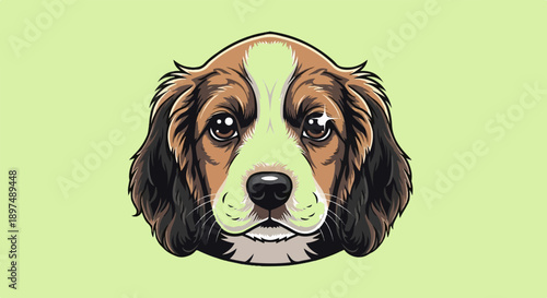 A cute brown and white dog's face with large expressive eyes and floppy ears