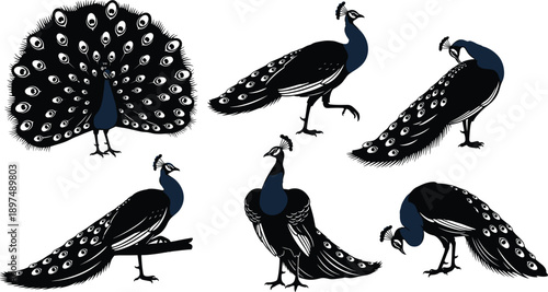 Stylized peacock silhouettes, elegant bird poses, black and blue feather art, exotic wildlife illustration, graceful nature concept design