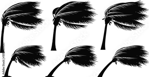 Palm tree silhouettes in wind, black tropical illustration, stormy weather concept, bending trunk art, nature force design, environmental motion