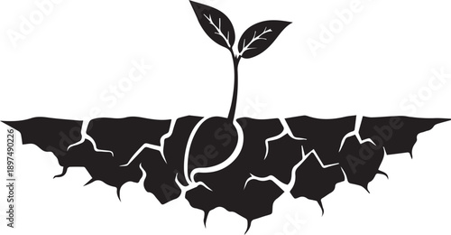 Seedling growing from cracked dry earth symbolizing survival and agriculture vector silhouette