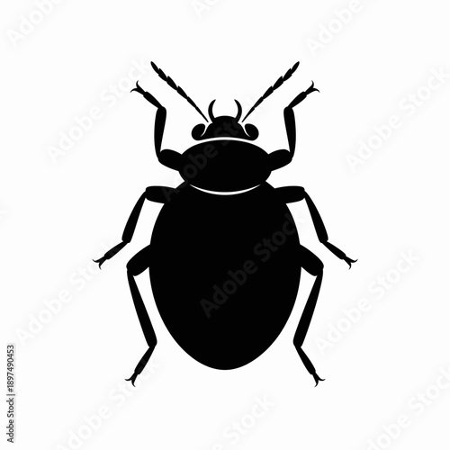 vector illustration of a bug