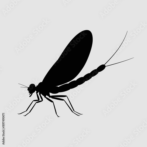 Elegant black silhouette of a damselfly, similar to a dragonfly but more slender, isolated on a light grey background